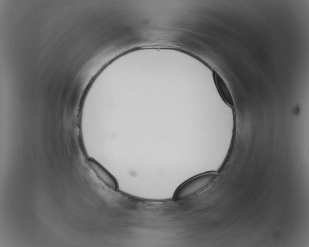 X0000115541485200912181517