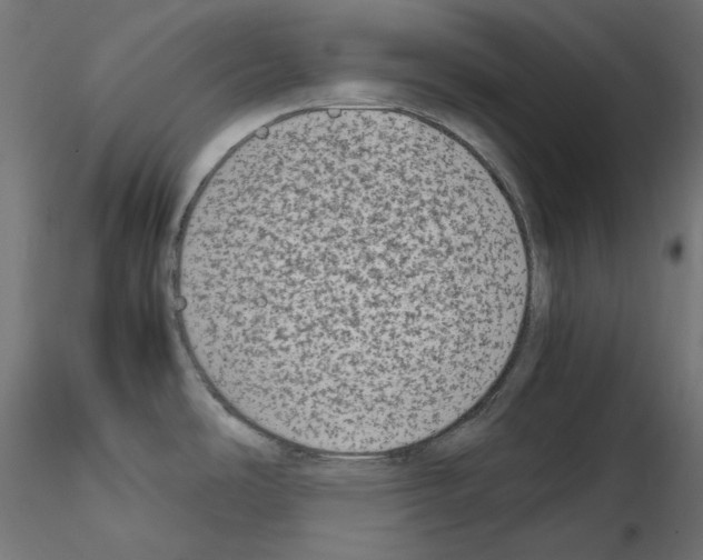 X0000115541486200912181517