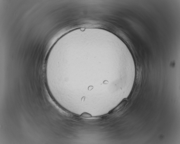 X0000115541487200912181517