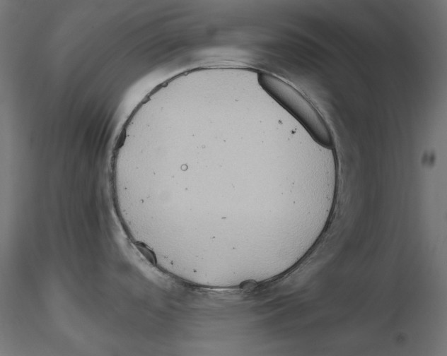 X0000115541488200912181517