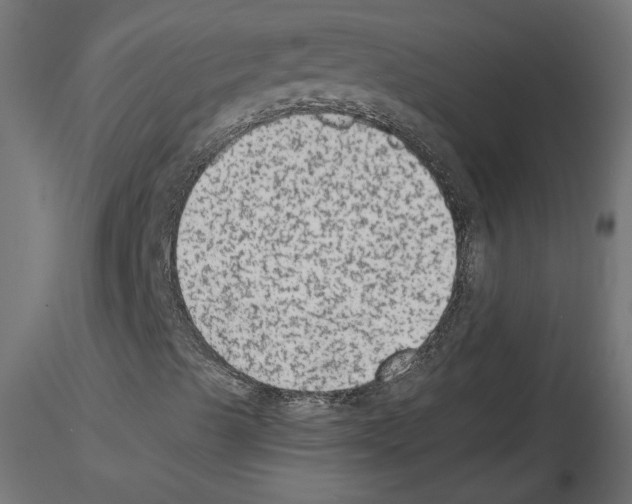 X0000115541489200912181517