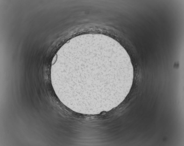 X0000115541490200912181517