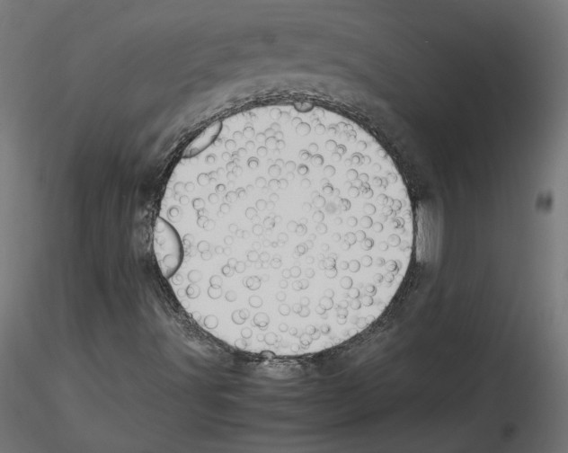 X0000115541491200912181517