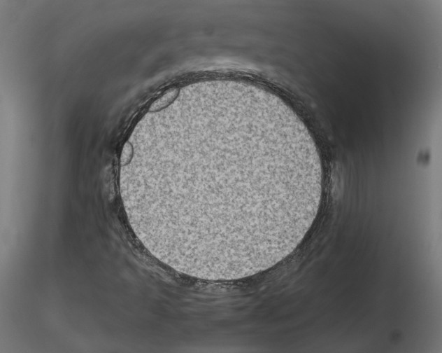 X0000115541493200912181517