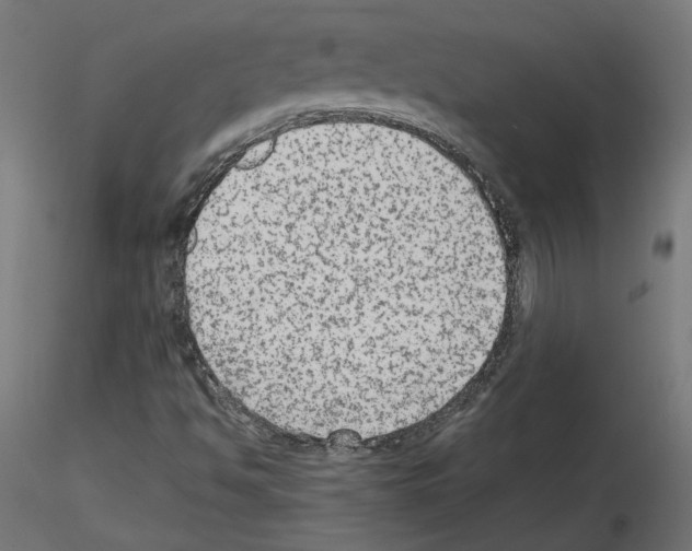 X0000115541494200912181517