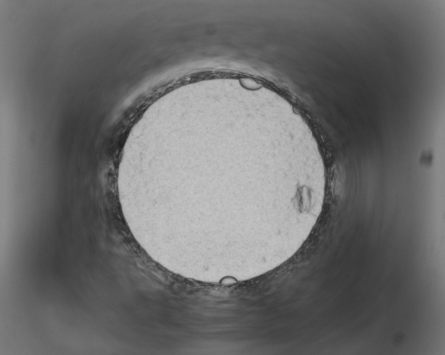 X0000115541495200912181517