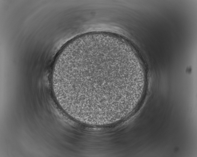 X0000115541497200912181517