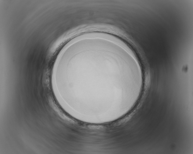 X0000115541498200912181517