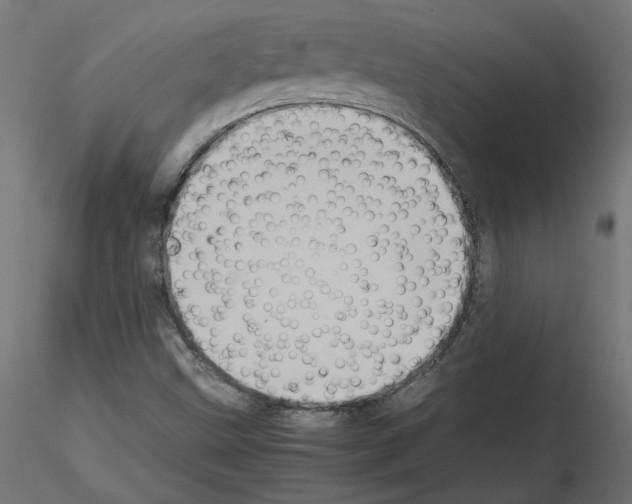 X0000115541499200912181517