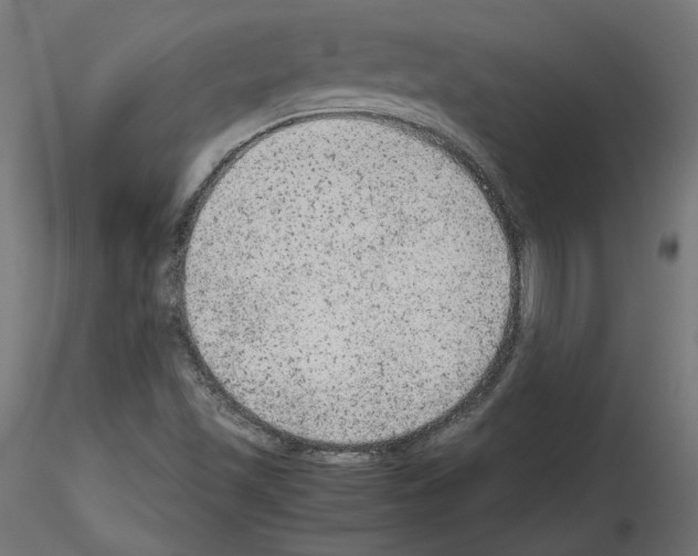 X0000115541501200912181517