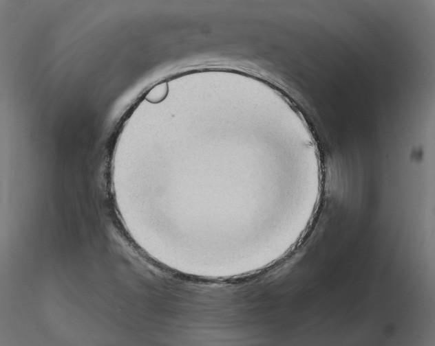 X0000115541502200912181517