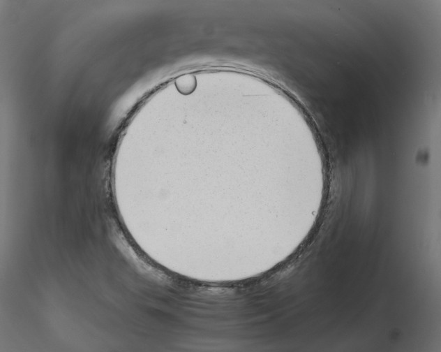 X0000115541503200912181517