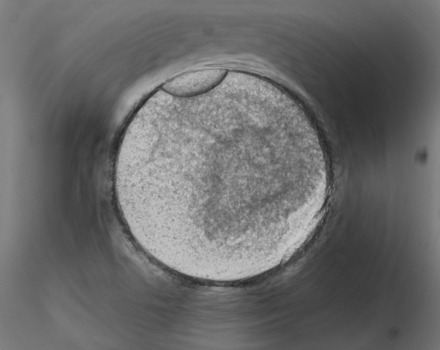 X0000115541506200912181517