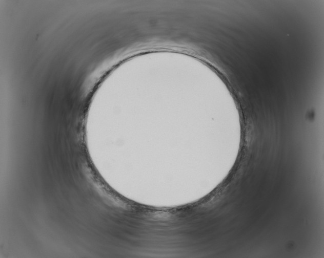 X0000115541507200912181517