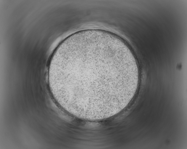 X0000115541509200912181517