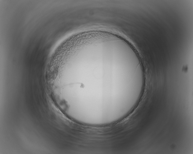 X0000115541510200912181517