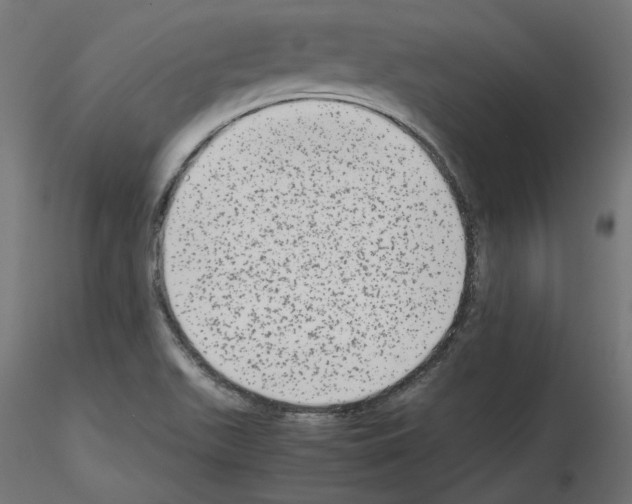 X0000115541511200912181517