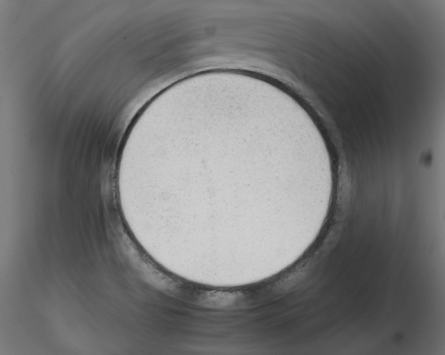 X0000115541513200912181517