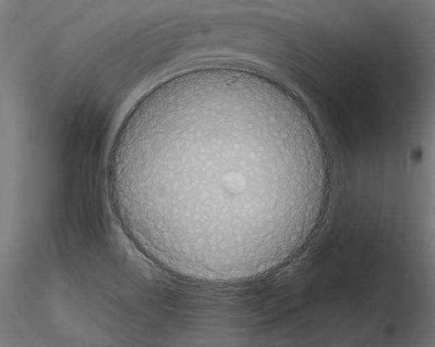 X0000115541514200912181517