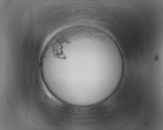 X0000115541515200912181517