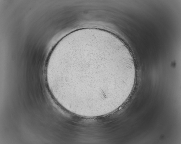 X0000115541517200912181517