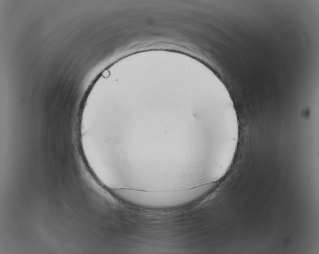 X0000115541518200912181517