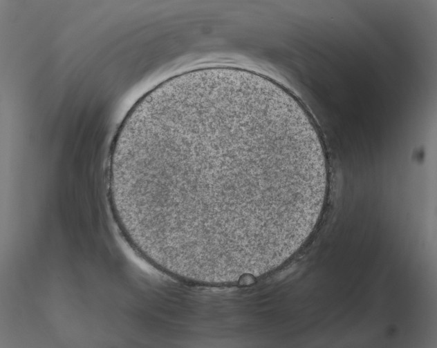 X0000115541519200912181517