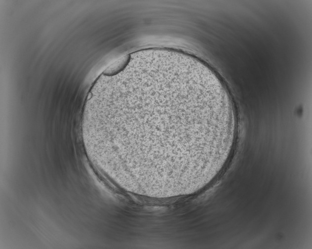 X0000115541521200912181517