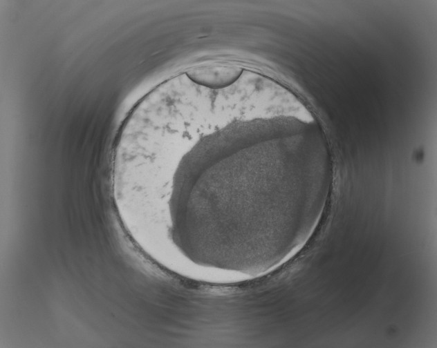 X0000115541522200912181517