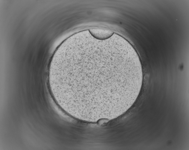 X0000115541523200912181517