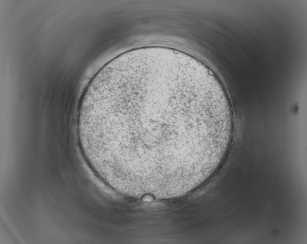 X0000115541525200912181517