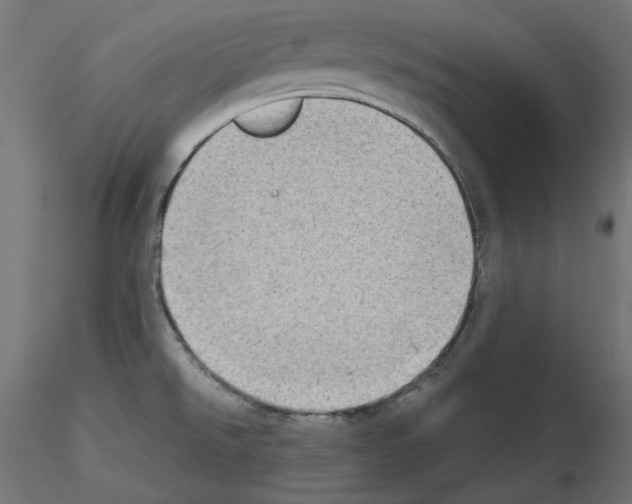 X0000115541526200912181517