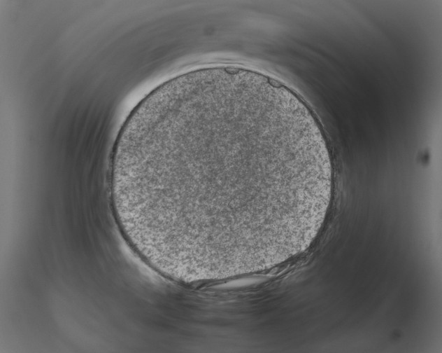 X0000115541527200912181517