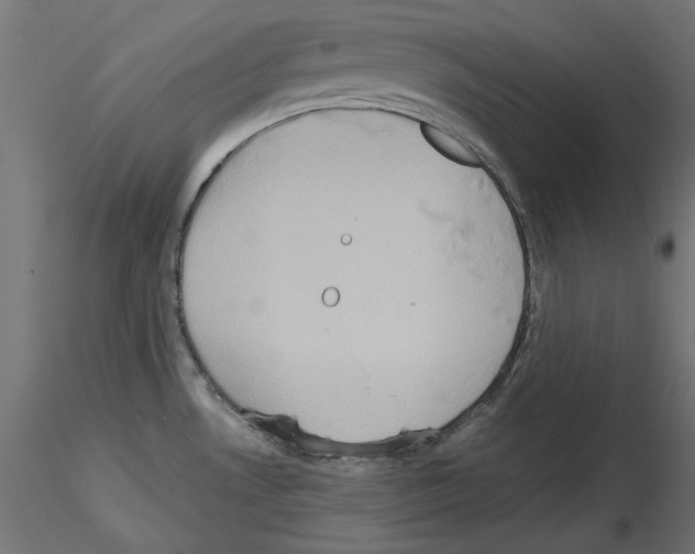 X0000115541530200912181517