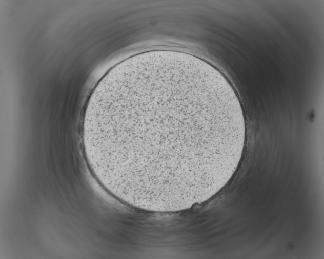 X0000115541531200912181517