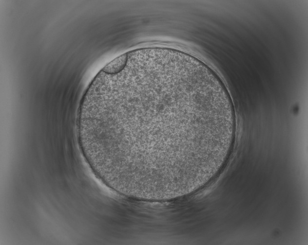 X0000115541533200912181517