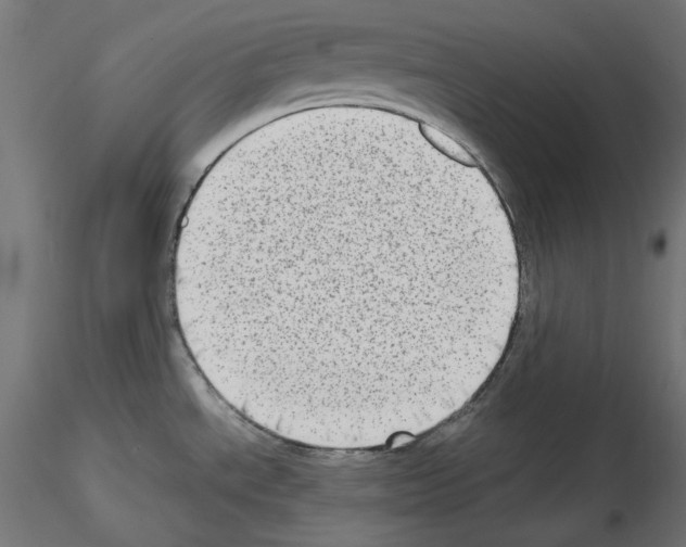 X0000115541534200912181517