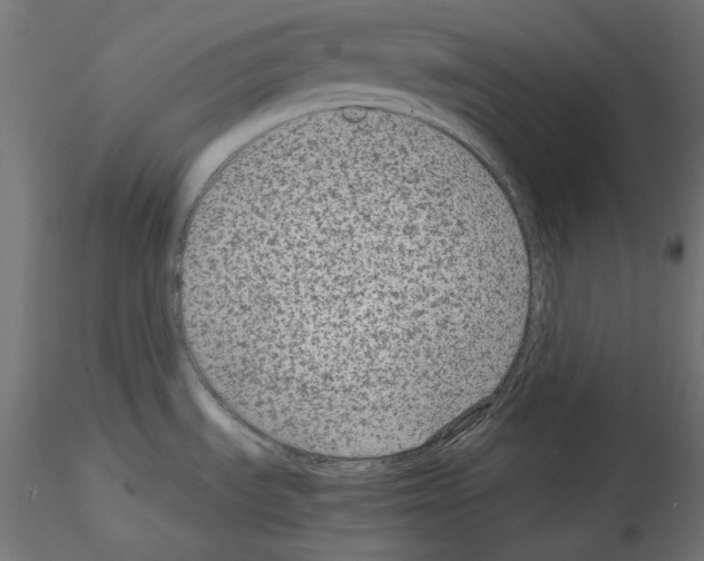 X0000115541535200912181517