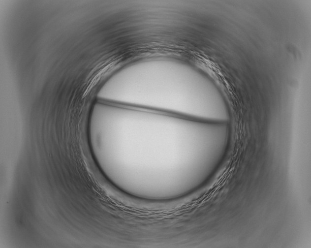 X0000115550001200911061136