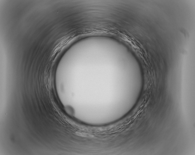 X0000115550002200911061136