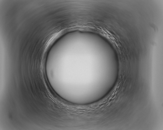 X0000115550003200911061136