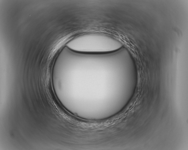 X0000115550005200911061136
