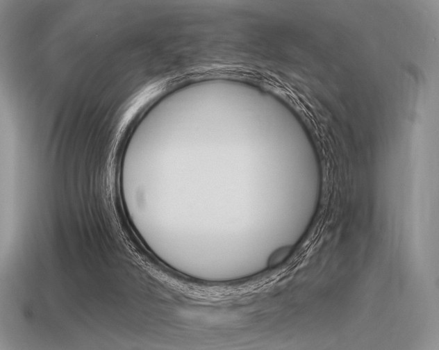 X0000115550006200911061136
