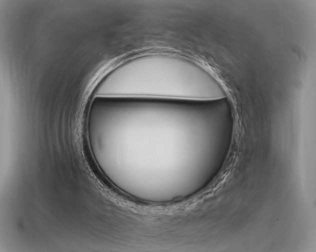 X0000115550007200911061136