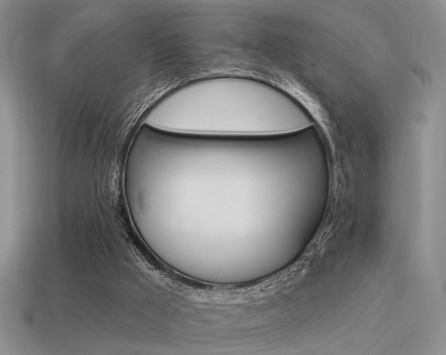 X0000115550009200911061136