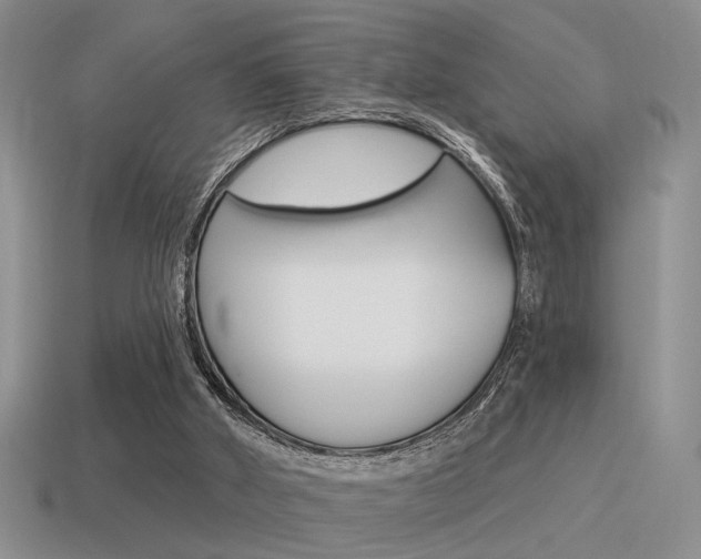 X0000115550010200911061136