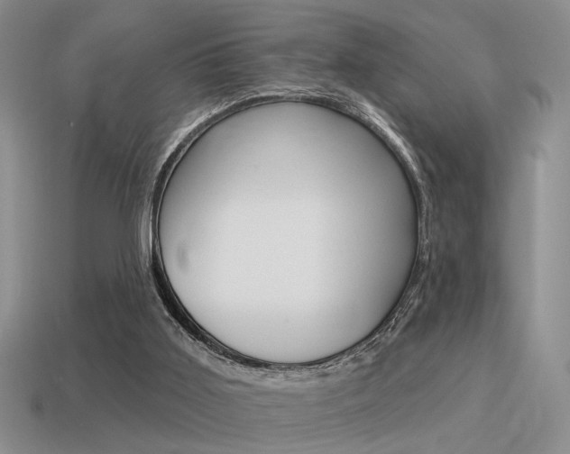 X0000115550011200911061136