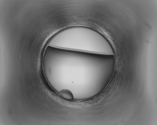 X0000115550012200911061136