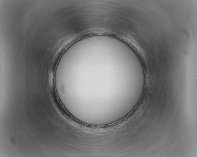 X0000115550014200911061136