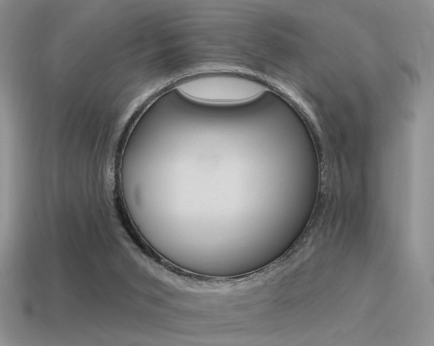 X0000115550015200911061136